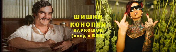 мяу мяу мука Пестово